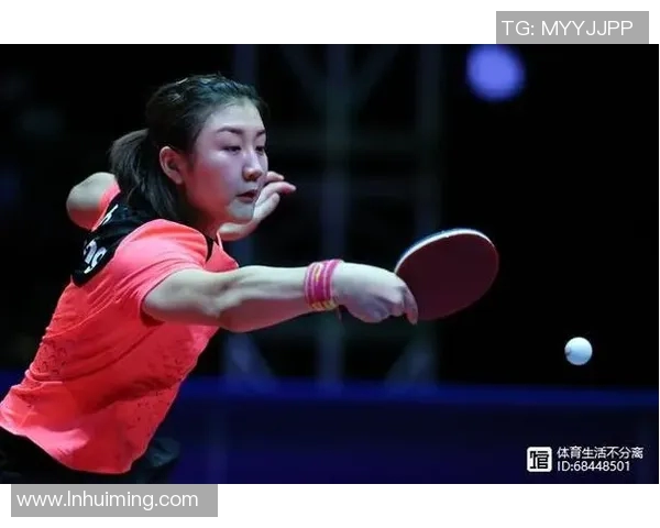 南京排球队快攻战术解析与实战应用探讨